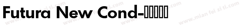 Futura New Cond字体转换